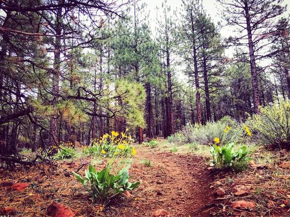 The Landing above Heart Attack Trail in Susanville Ranch Park